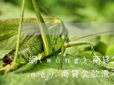 網(wǎng)商貸欠1萬還不起(網(wǎng)商貸欠款還不上)