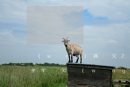 網(wǎng)商貸欠20萬會(huì)坐牢嗎(欠網(wǎng)商貸15萬還不起會(huì)坐牢嗎)