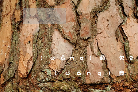 網(wǎng)商貸欠2萬逾期了半年說上門(網(wǎng)商貸逾期兩個月說要上門)