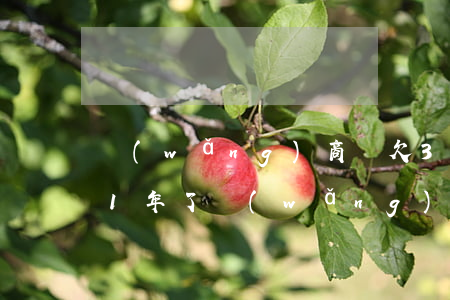 網(wǎng)商貸欠3萬(wàn) 逾期1年了(網(wǎng)商貸借一萬(wàn)多逾期兩年多了)