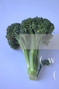 網(wǎng)商貸欠3萬(wàn)逾期幾個(gè)月了(網(wǎng)商貸欠3萬(wàn)逾期幾個(gè)月了)