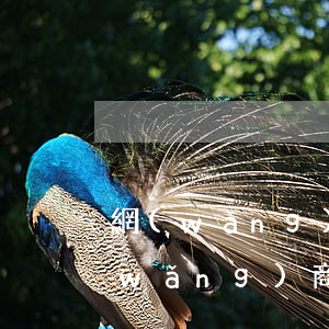 網(wǎng)商貸欠3萬被起訴(欠款網(wǎng)商貸會被起訴嗎)