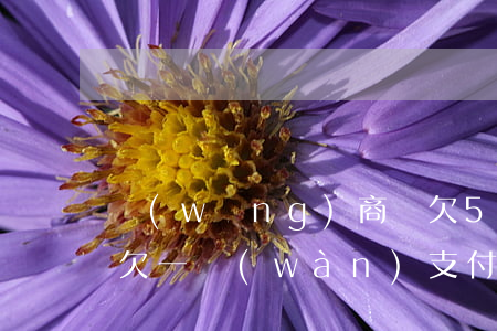 網(wǎng)商貸欠5萬(wàn)花唄欠一萬(wàn)(支付寶花唄借唄網(wǎng)商貸欠7萬(wàn)多)