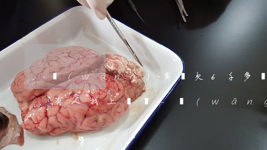 網(wǎng)商貸欠6千多會(huì)有人找上門嗎-網(wǎng)商貸欠6千多會(huì)有人找上門嗎是真的嗎