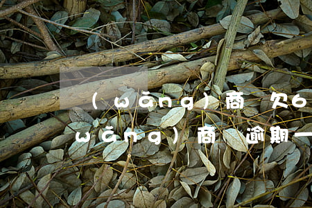 網(wǎng)商貸欠6萬逾期了半年(網(wǎng)商貸逾期一年親身經(jīng)歷)