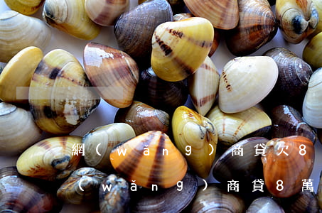 網(wǎng)商貸欠8萬不還會怎么樣(網(wǎng)商貸8萬逾期后果)