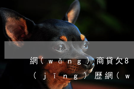 網(wǎng)商貸欠8萬逾期2年親身經(jīng)歷(網(wǎng)商貸逾期五年親身經(jīng)歷)