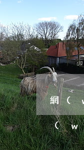 網(wǎng)商貸欠一萬多(2018年網(wǎng)商貸欠一萬多)