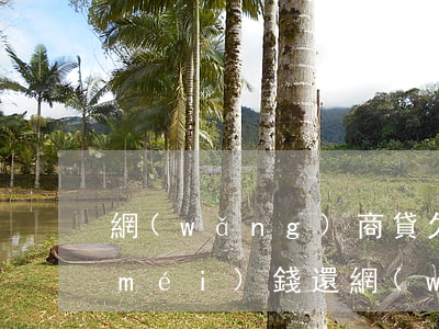 網(wǎng)商貸欠七萬(wàn)沒(méi)錢還(網(wǎng)商貸十幾萬(wàn)沒(méi)錢還怎么辦)