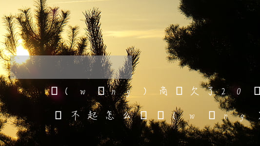 網(wǎng)商貸欠了20萬(wàn)還不起怎么辦(網(wǎng)商貸20萬(wàn)還不上怎么辦)