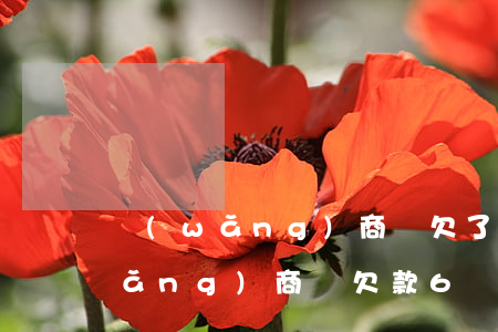 網(wǎng)商貸欠了4萬還不上(網(wǎng)商貸欠款6萬還不上)