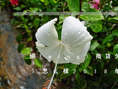 網(wǎng)商貸欠了一萬多會(huì)怎么樣(2018年網(wǎng)商貸欠一萬多)