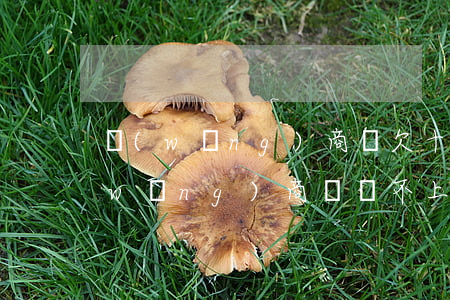 網(wǎng)商貸欠十萬會坐牢嗎(欠網(wǎng)商貸還不上要不要坐牢)