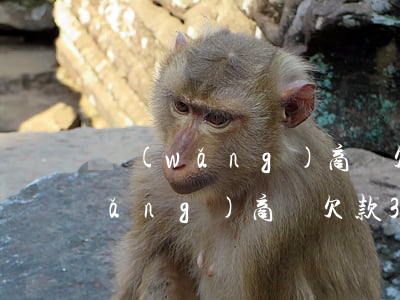 網(wǎng)商貸欠款3w被起訴(網(wǎng)商貸欠款3w被起訴會怎樣)