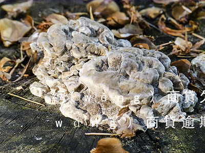 網(wǎng)商貸欠款3萬逾期半年(網(wǎng)商貸逾期3萬會不會被起訴)