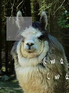 網(wǎng)商貸欠款五千逾期快一年了(網(wǎng)商貸逾期五萬每月還一部分進去會被起訴嗎)