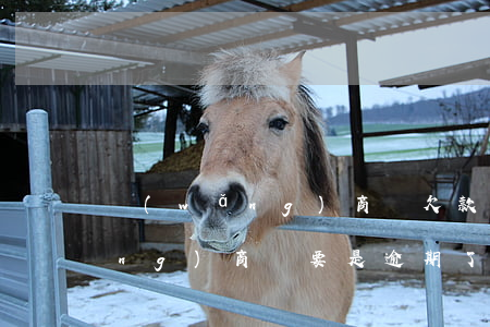 網(wǎng)商貸欠款太多逾期(網(wǎng)商貸要是逾期了怎么樣)