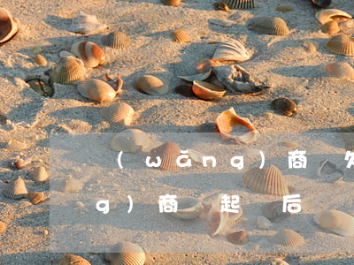 網(wǎng)商貸欠款起訴-網(wǎng)商貸起訴后敗訴要承擔(dān)其它費(fèi)用嗎