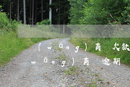 網(wǎng)商貸欠款逾期只還本金(網(wǎng)商貸逾期還了本金還有利息)