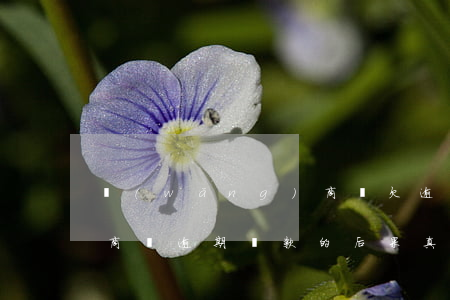 網(wǎng)商貸欠逾期(網(wǎng)商貸逾期還款的后果,真是坑到你無(wú)法想象)