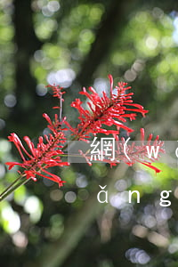 網(wǎng)商貸每期逾期20天(網(wǎng)商貸20萬逾期一年了)