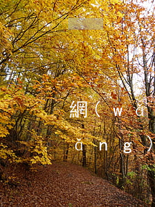 網(wǎng)商貸沒用過顯示逾期(網(wǎng)商貸逾期怎么辦?網(wǎng)商貸逾期會(huì)不會(huì)上征信?)