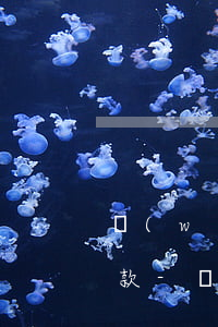 網(wǎng)商貸為什么不能用銀行卡還款-網(wǎng)商貸為什么不能用銀行卡還款了