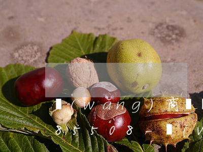 網(wǎng)商貸無力償還可以慢慢還嗎85508-網(wǎng)商貸還不出來了,可以協(xié)商還么