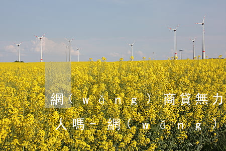 網(wǎng)商貸無力償還死后會連累家人嗎-網(wǎng)商貸欠款人死了還要還嗎