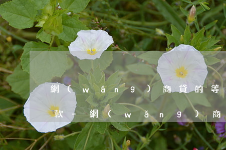 網(wǎng)商貸的等額本金可以提前還款-網(wǎng)商貸的等額本金可以提前還款嗎