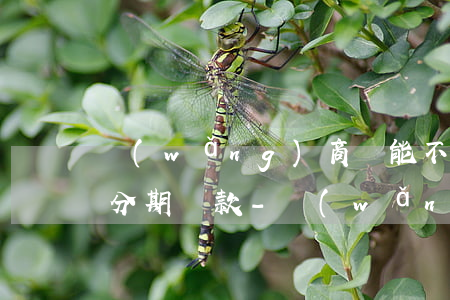 網(wǎng)商貸能不能協(xié)商分期還款-網(wǎng)商貸能不能協(xié)商分期還款呢