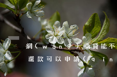 網(wǎng)商貸能不能協(xié)商還款可以申請(qǐng)退款-網(wǎng)商貸能不能協(xié)商還款可以申請(qǐng)退款呢