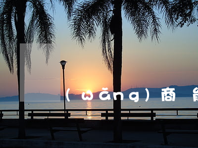 網(wǎng)商貸能不能只還本金