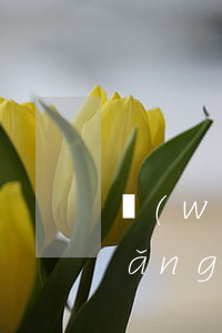 網(wǎng)商貸能減免利息嗎-網(wǎng)商貸可以申請(qǐng)減免嗎