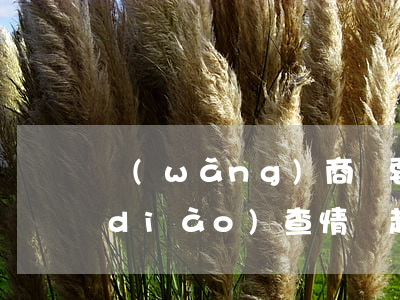 網(wǎng)商貸要上門(mén)調(diào)查情況起訴怎么辦-網(wǎng)商貸要上門(mén)調(diào)查情況起訴怎么辦呢
