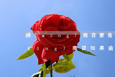 網(wǎng)商貸要是逾期會怎么樣(網(wǎng)商貸如果逾期了,會怎么樣)