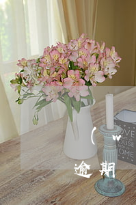 網(wǎng)商貸貸款40萬(wàn)逾期(網(wǎng)商貸能分24期)