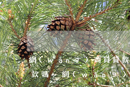 網(wǎng)商貸貸款人死亡親屬需要還款嗎-網(wǎng)商貸貸款人死亡親屬需要還款嗎安全嗎