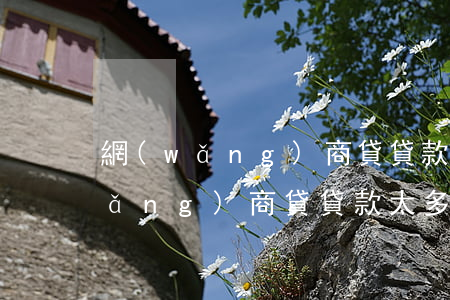 網(wǎng)商貸貸款太多還不起(網(wǎng)商貸貸款太多還不起)