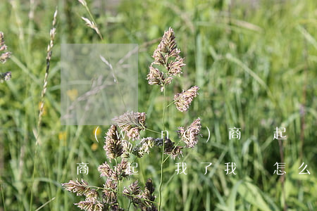 網(wǎng)商貸起訴么(網(wǎng)商貸起訴我了我該怎么辦)