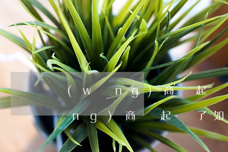 網(wǎng)商貸起訴了如何上訴(網(wǎng)商貸起訴了如何上訴對方)