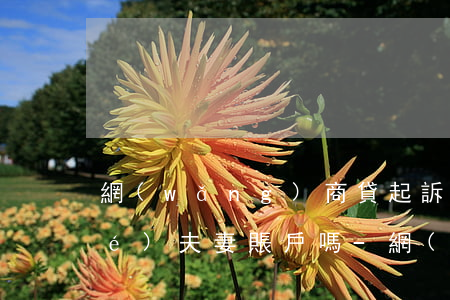 網(wǎng)商貸起訴后會被凍結(jié)夫妻賬戶嗎-網(wǎng)商貸起訴后會被凍結(jié)夫妻賬戶嗎知乎