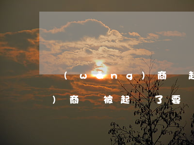 網(wǎng)商貸起訴后果(網(wǎng)商貸被起訴了要經(jīng)過(guò)什么程序要多久)