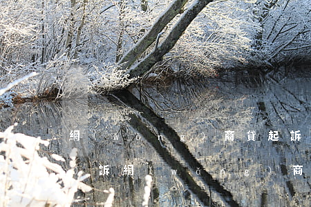 網(wǎng)商貸起訴如何應(yīng)訴（網(wǎng)商貸起訴如何應(yīng)訴）