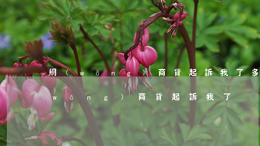 網(wǎng)商貸起訴我了多久開庭（網(wǎng)商貸起訴我了）