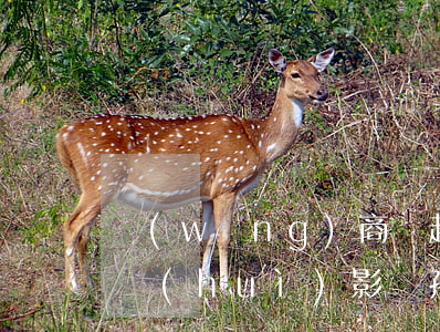 網(wǎng)商貸起訴我會(huì)不會(huì)影響孩子上學(xué)-網(wǎng)商貸起訴我會(huì)不會(huì)影響孩子上學(xué)呢