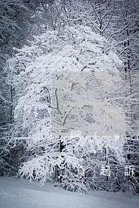 網(wǎng)商貸 起訴（網(wǎng)商貸起訴標(biāo)準(zhǔn)）