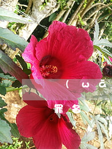 網(wǎng)商貸超期未還款20萬涉及罪名-網(wǎng)商貸超期未還款20萬涉及罪名怎么辦