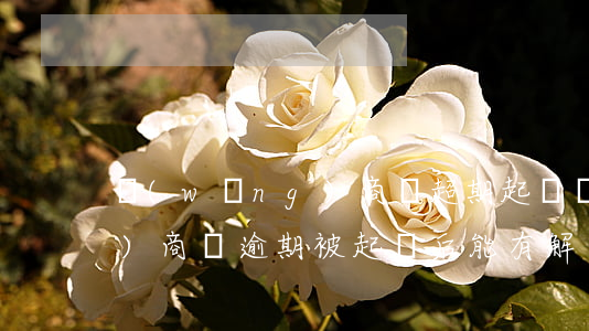 網(wǎng)商貸超期起訴(網(wǎng)商貸逾期被起訴后能有解決的辦法嗎)