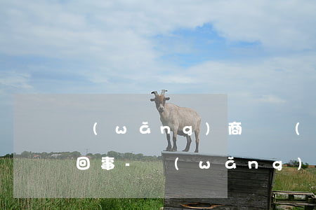 網(wǎng)商貸進(jìn)不去怎么回事-網(wǎng)商貸進(jìn)不去怎么回事呀